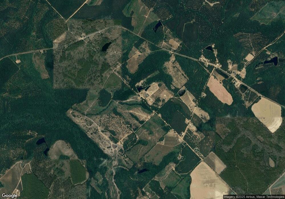 0 Jay Bird Helena Dirt Rd unit 7080011, Helena, GA 31037 - photo 1