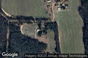 490 Cecil Martin Rd, Nevils, GA 31321