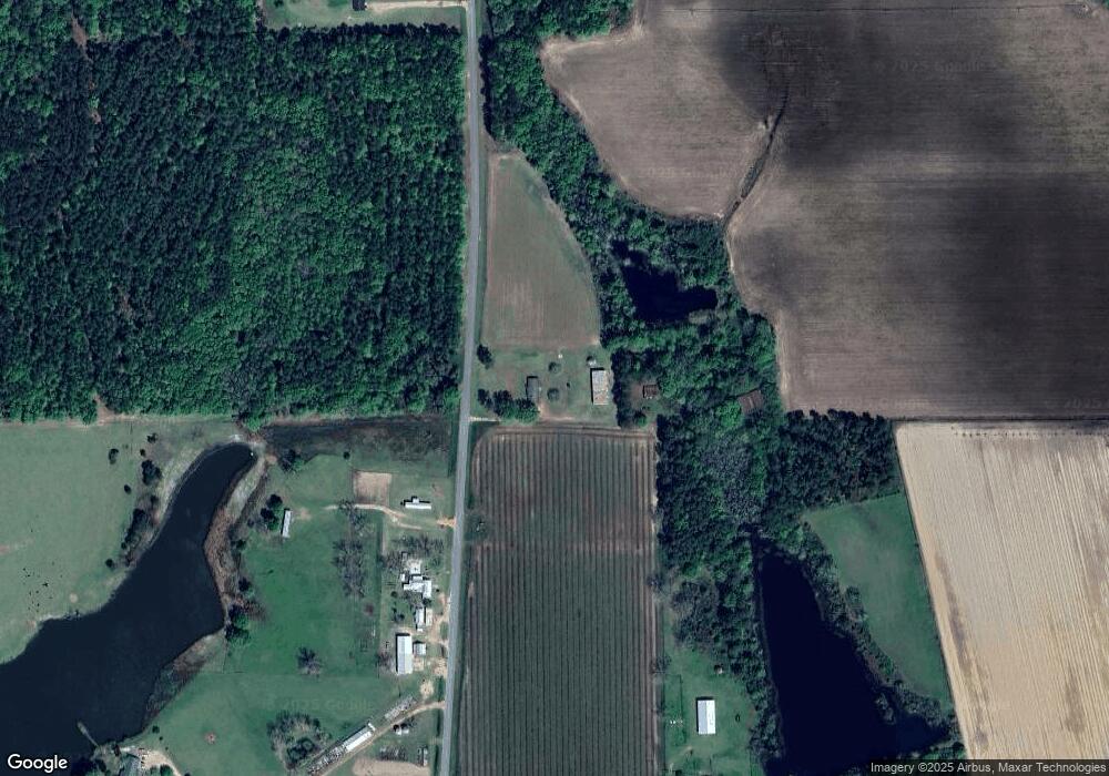 3080 Old River Rd, Broxton, GA 31519 - photo 1