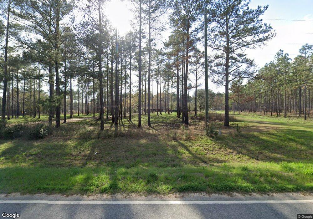 131 Baker Sawmill Rd, Lenox, GA 31637 - photo 1