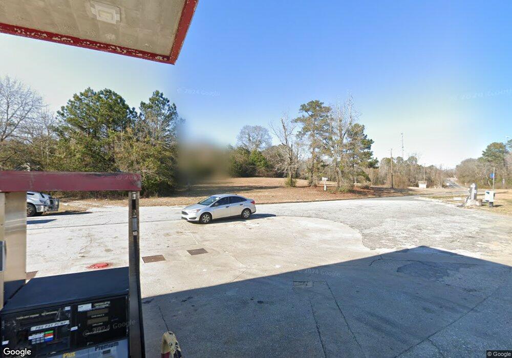 7340 Geneva Hwy, Box Springs, GA 31801 - photo 1