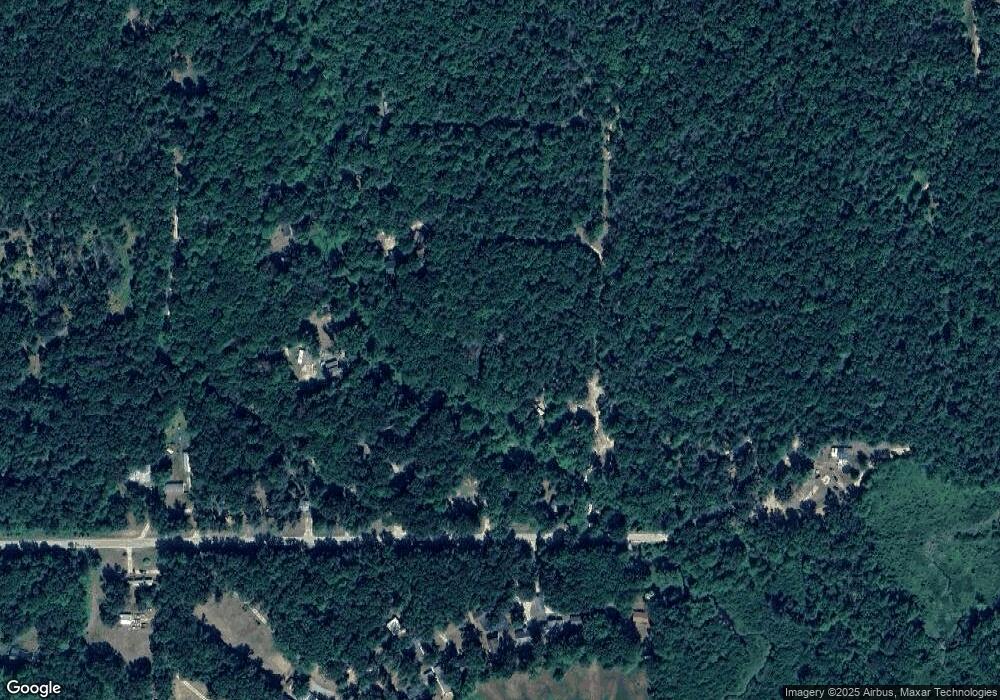 13079 Kt Dr, Bitely, MI 49309 - photo 1