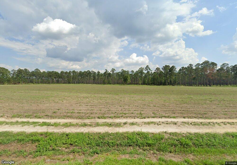 11610 Barwick Rd, Dixie, GA 31629 - photo 1