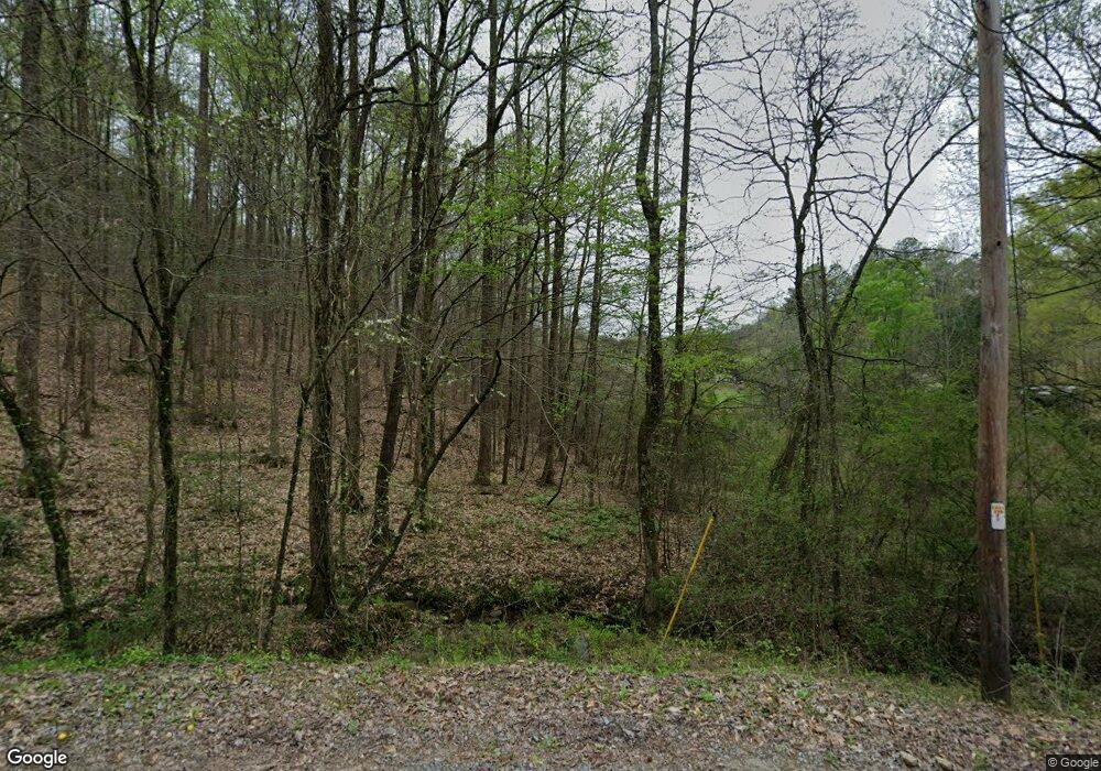 1029 Leeches Rd, Ellijay, GA 30540 - photo 1