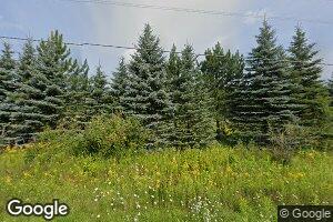 3260 Tunteri Rd, Chatham, MI 49816