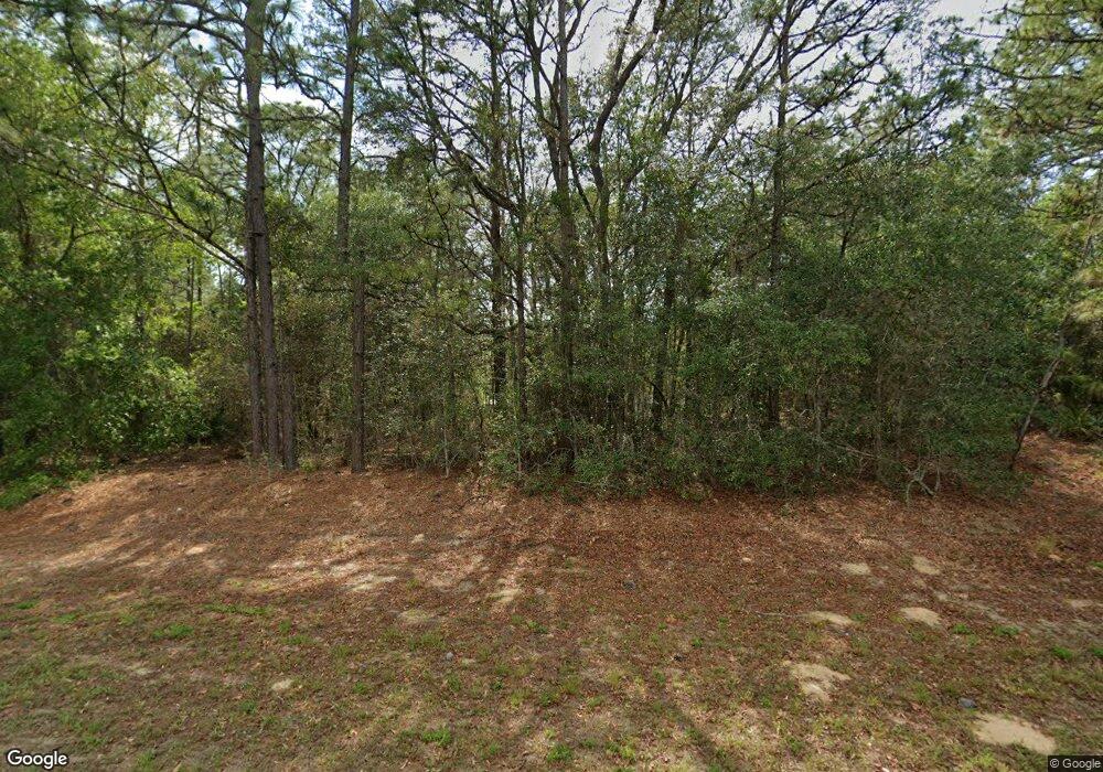 10924 N Elkcam Blvd, Dunnellon, FL 34434 - photo 1