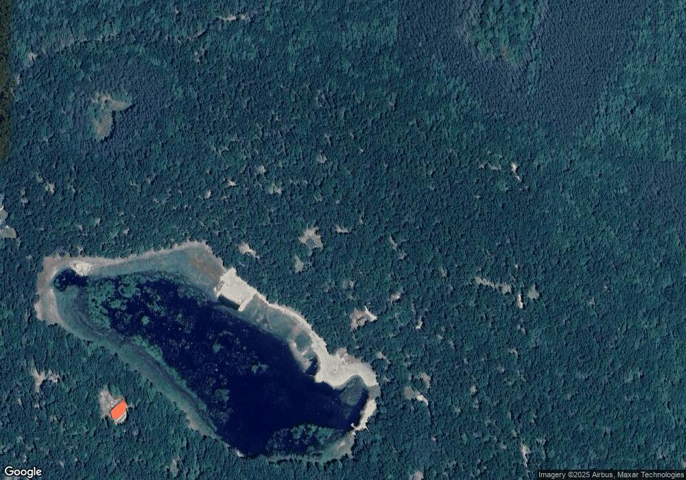 11041 S Rabbit Rd, Baldwin, MI 49304 - photo 1