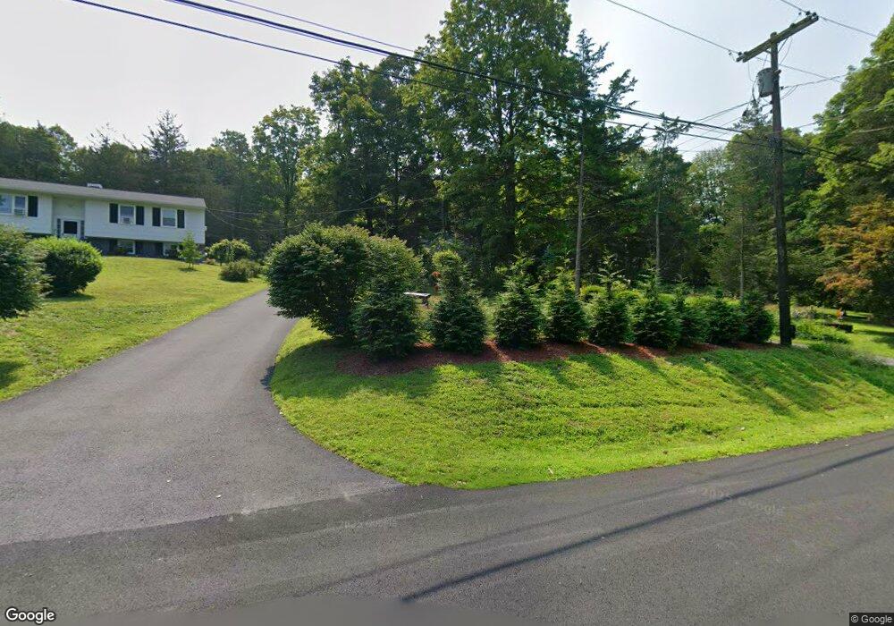 41 Sheldon Rd, Wingdale, NY 12594 - photo 1