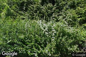 35 Davids Ct, Southampton, NY 11968