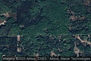 5200 Old Vanderbilt Rd, Vanderbilt, MI 49795