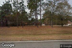 167 Terrell Rd, Elko, GA 31025