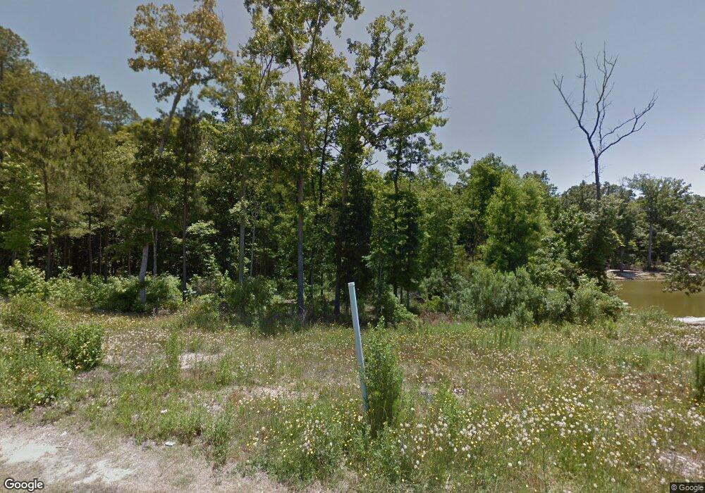 178 Walkbridge Way, Chapin, SC 29036 - photo 1