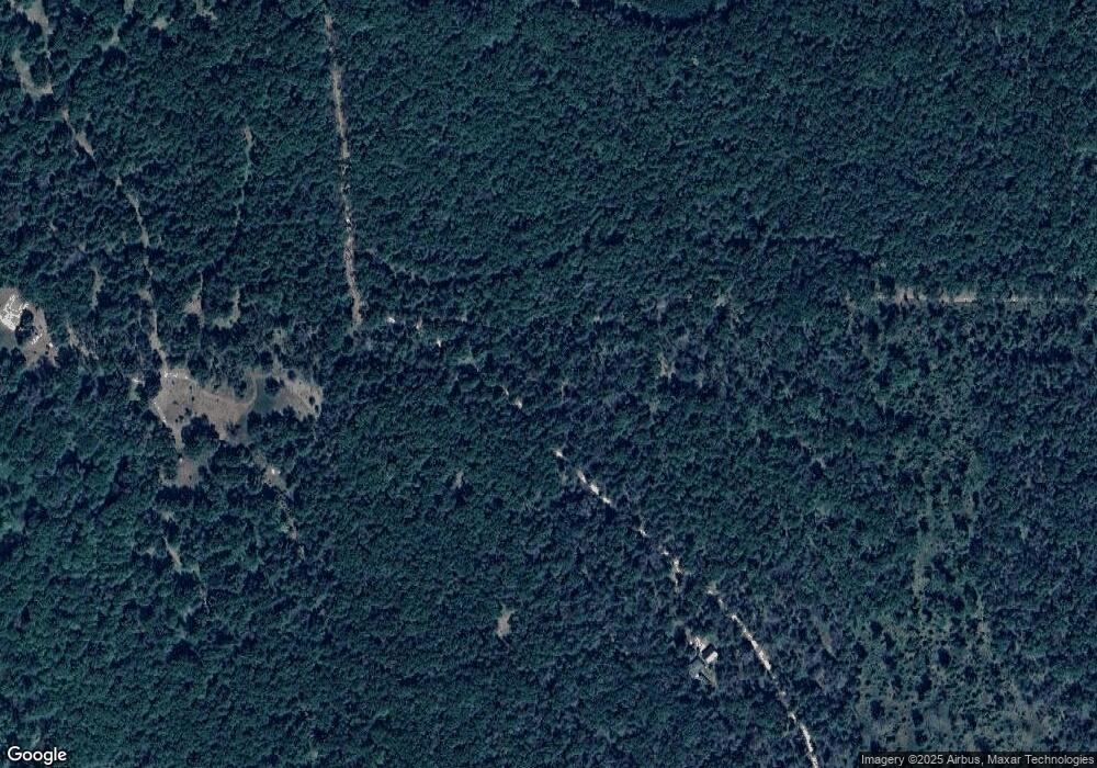 10402 S Everblooming Dr, Baldwin, MI 49304 - photo 1