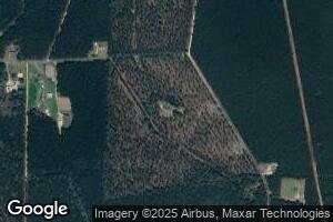 113 Dave McKenzie Dr, Andrews, SC 29510