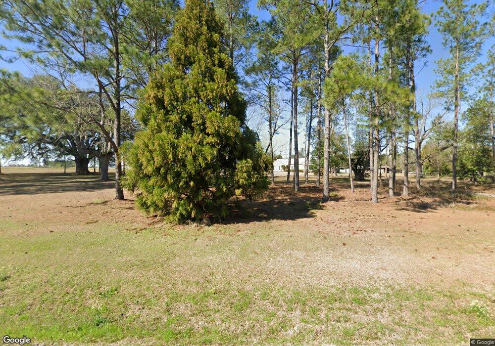 1401 Ga Highway 111, Meigs, GA 31765 - photo 1