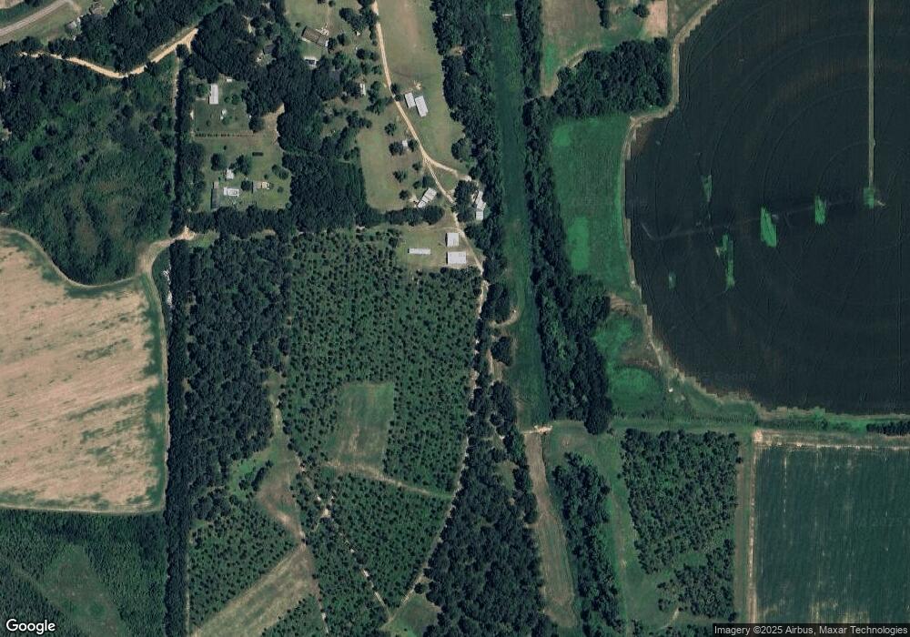 126 Country Ln Rd, Climax, GA 39834 - photo 1