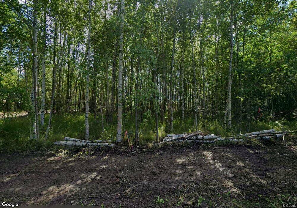 1375 Middle Mesa Dr, Gateway, AK 99645 - photo 1