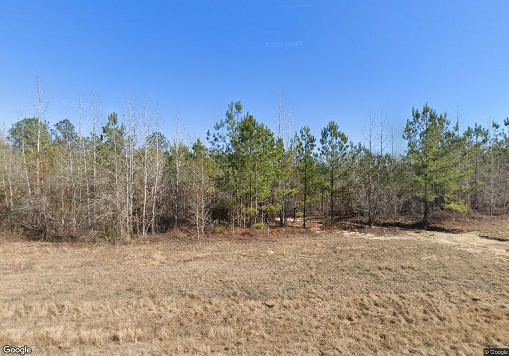 130 Tree Farm Rd, Box Springs, GA 31801 - photo 1