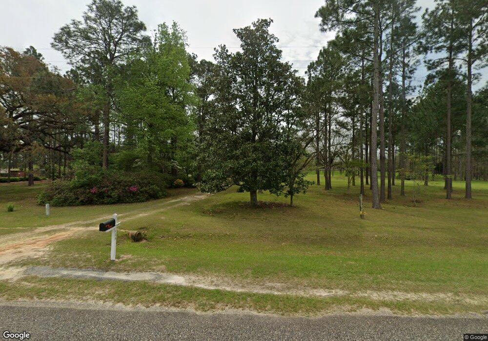 6747 Lodgetown Rd, Pelham, GA 31779 - photo 1