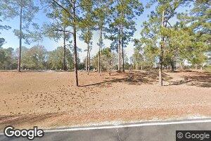 798 Springhill Church Rd, Alamo, GA 30411