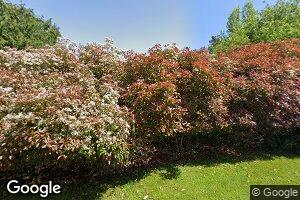 1715 8th St, Bellingham, WA 98225