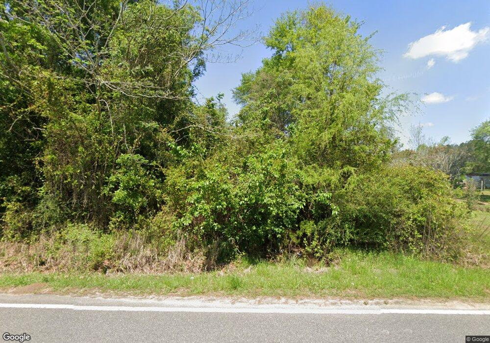 4090 New Hope Rd, Pelham, GA 31779 - photo 1