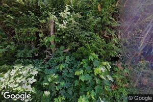 174 Mineral Rd, Mineral, WA 98355