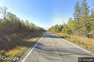 11032 11032 N State Highway #6, Effie, MN 56639