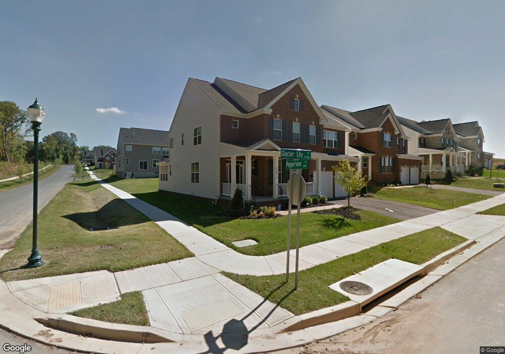 22917 Glacier Lily Dr, Clarksburg, MD 20871 - photo 1