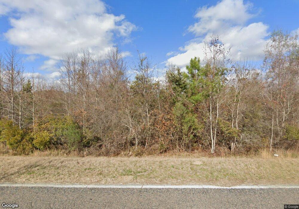 19917 Salem Church Rd, Metter, GA 30439 - photo 1