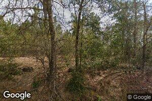 253 Dodges Chapel Rd, Lumber City, GA 31549