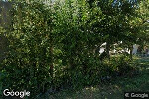 6 Chicago St, Alvin, IL 61811