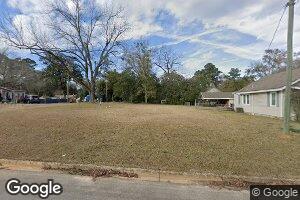 116 Village Ln, Attapulgus, GA 39815