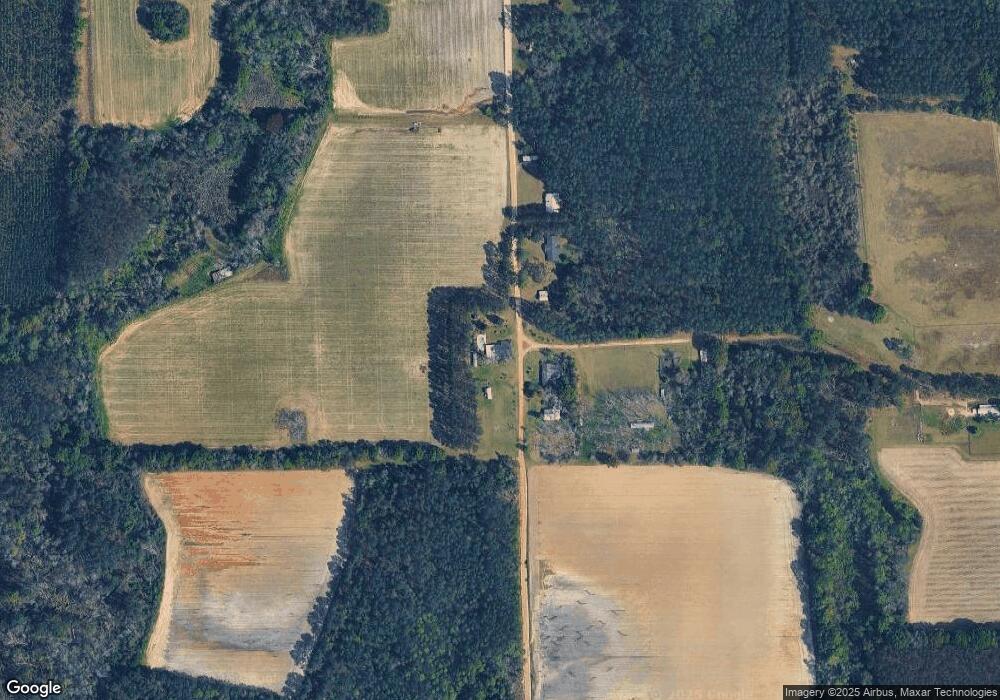 3733 Holland Rd, Mershon, GA 31551 - photo 1