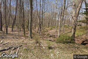 601 Ross Mountain Park Rd, New Florence, PA 15944