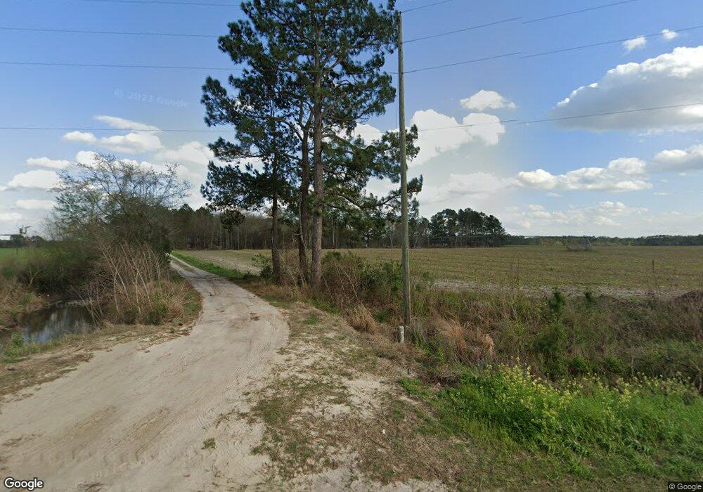 3822 Baker Sawmill Rd, Lenox, GA 31637 - photo 1