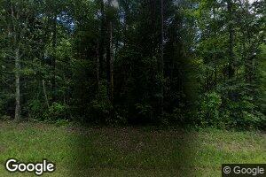 1497 Smithtown Chicora Rd, State Line, MS 39362