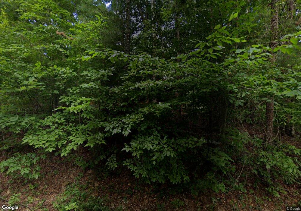 747 Mango Ln, Ellijay, GA 30540 - photo 1