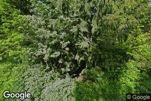 1241 Raymond St, Bellingham, WA 98229