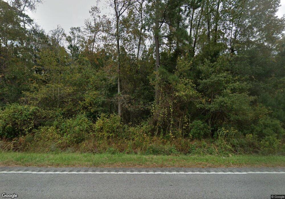 4328 Highway 65, Conway, SC 29526 - photo 1