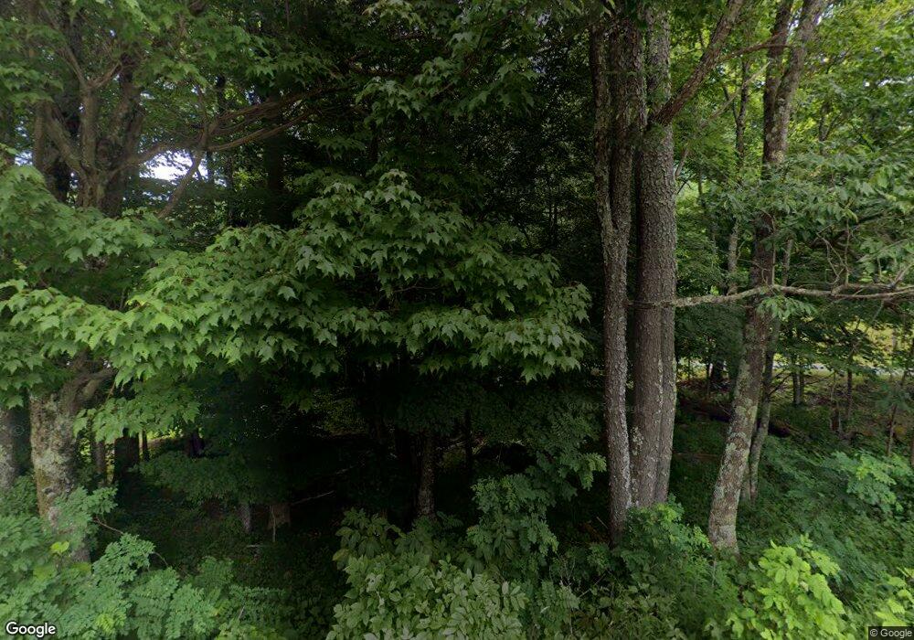 50 Lemon Tree Ln, Banner Elk, NC 28604 - photo 1