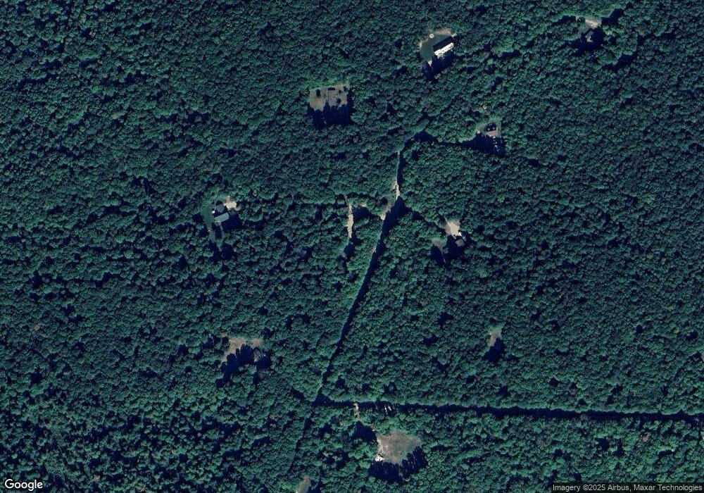 11114 Wilderness Trail, Vanderbilt, MI 49795 - photo 1