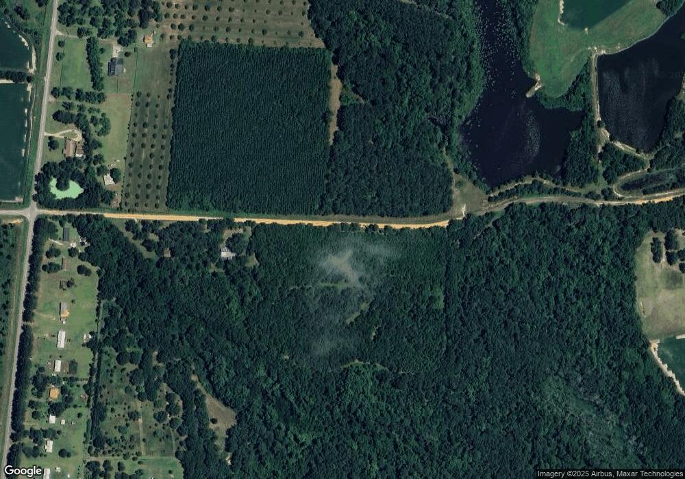 578 Cedar Grove Rd, Climax, GA 39834 - photo 1