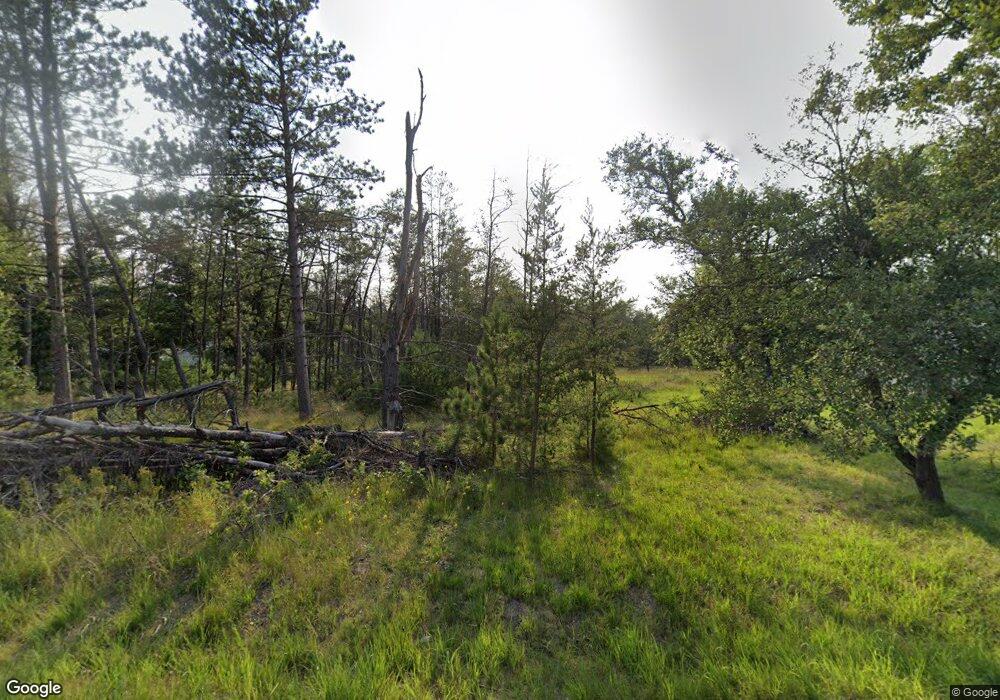 9103 S Forman Rd, Baldwin, MI 49304 - photo 1