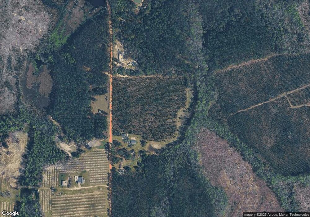 201 Carter Chapel Rd, Mershon, GA 31551 - photo 1