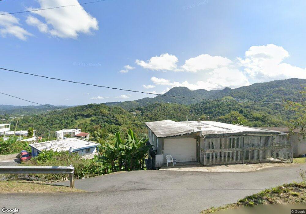 SR 788 Camino Juana Velez, San Lorenzo, PR 00754 - photo 1