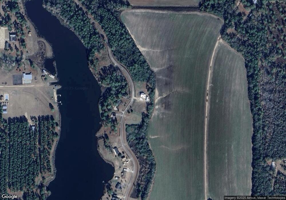 456 Lakeshore Rd, Pelham, GA 31779 - photo 1