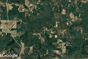0 Wainwright Rd, Butler, GA 31006