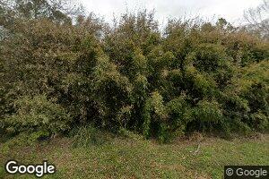 12641 Steptoe Rd, Roseland, LA 70456