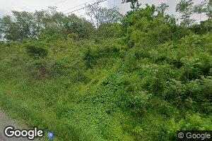 29 Rosenberg Rd, Bruceton Mills, WV 26525